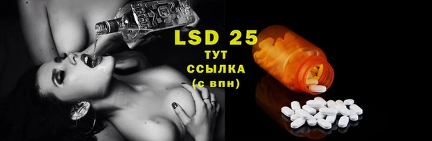 мяу мяу мука Заводоуковск