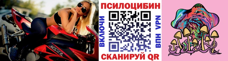 Галлюциногенные грибы мицелий blacksprut маркетплейс Советск