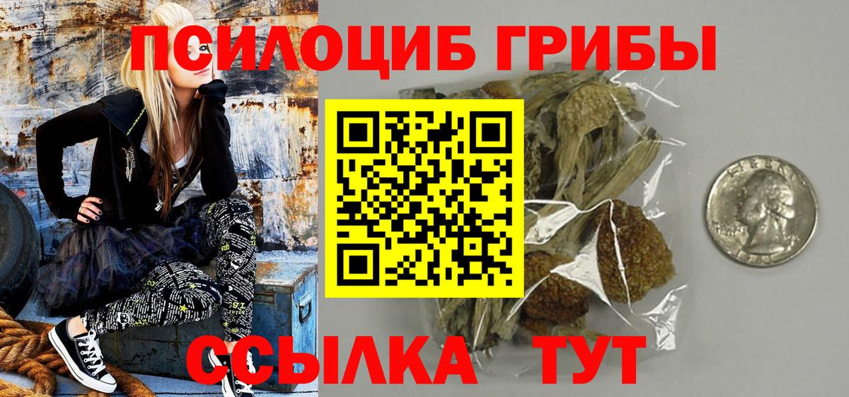 Псилоцибиновые грибы мицелий Советск
